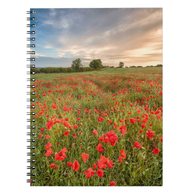 Field of Poppies Notebook (Front)