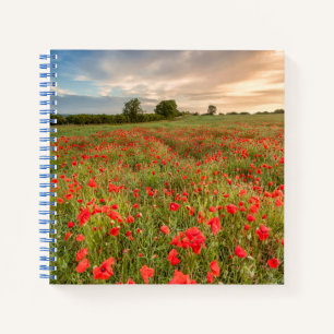 Field of Poppies Notebook