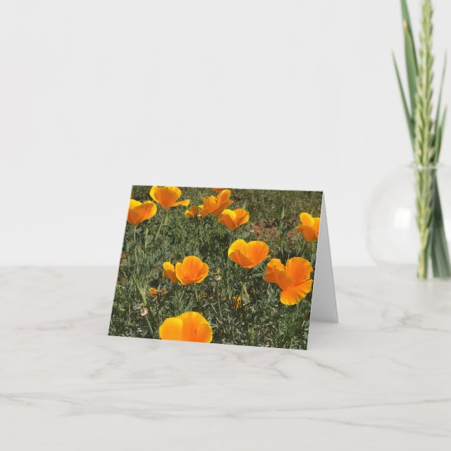 Field of Poppies Thank You Card (Front)