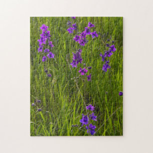 Field of Purple Larkspur Flowers Jigsaw Puzzle
