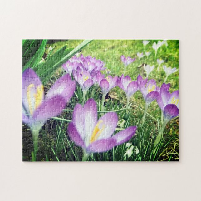 Field of Purple Spring Flowers Crocus Flower Lilac Jigsaw Puzzle (Horizontal)