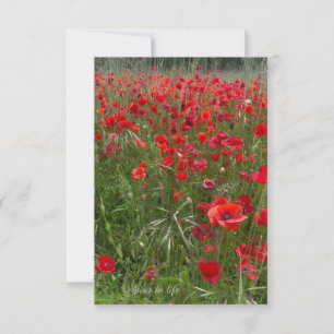 Field of Red Poppies Card