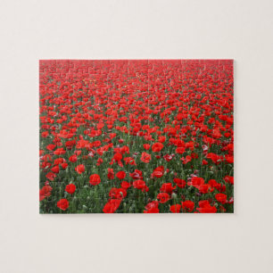 Field of Red Poppies Jigsaw Puzzle