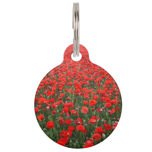 Field of Red Poppies Pet Tag (Front)