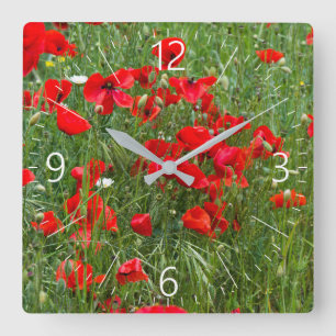 Field of red poppies square wall clock