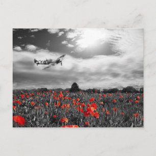 Field of Red Postcard
