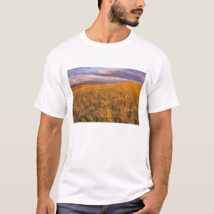 Field of Ripening Barley along the Rocky T-Shirt