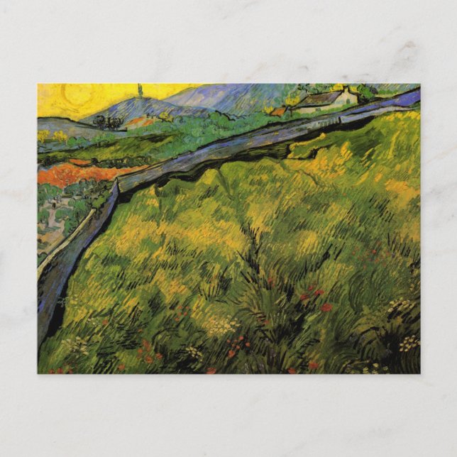 Field of Spring Wheat, Sunrise by Vincent van Gogh Postcard (Front)