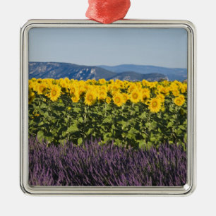 Field of sunflowers and lavender flowers, metal tree decoration
