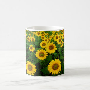Field of Sunflowers Coffee Mug