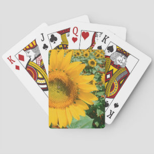 Field Of Sunflowers. Heidleberg District Playing Cards