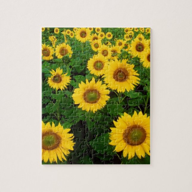 Field Of Sunflowers Jigsaw Puzzle (Vertical)
