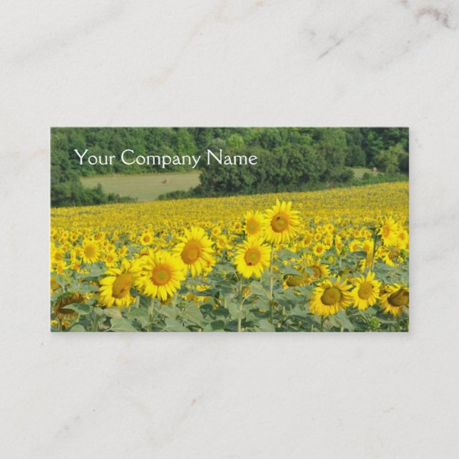 Field of sunflowers landscape business card (Front)