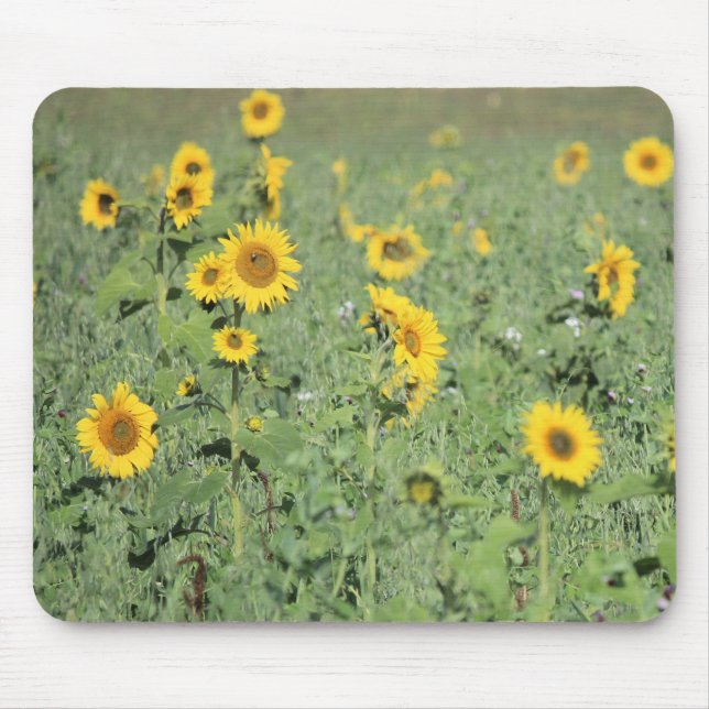Field of Sunflowers Mouse Pad (Front)