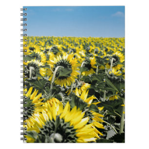 Field of Sunflowers Notebook