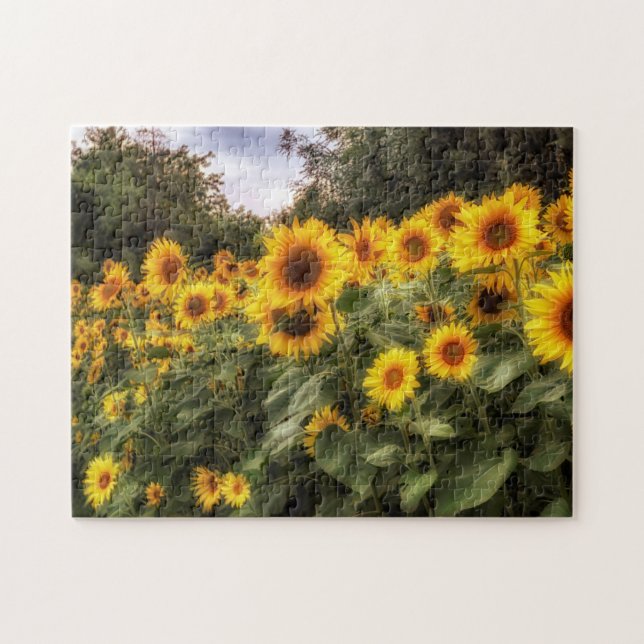 Field of Sunflowers Photograph Jigsaw Puzzle (Horizontal)
