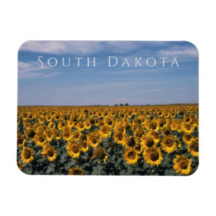 Field of Sunflowers, South Dakota Magnet