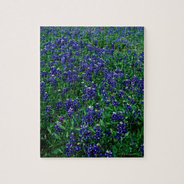 Field of Texas Bluebonnets Jigsaw Puzzle (Vertical)