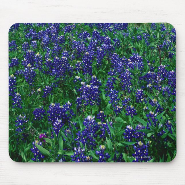 Field of Texas Bluebonnets Mouse Pad (Front)