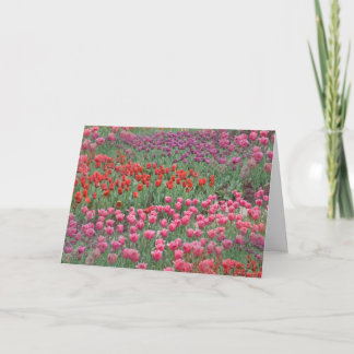 Field Of Tulips Card