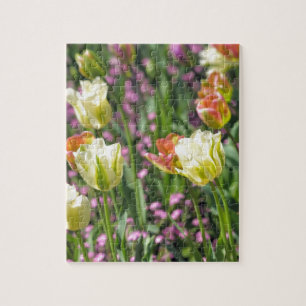 Field of tulips jigsaw puzzle