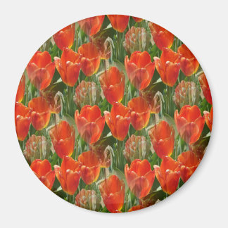 Field of Tulips..... Magnet