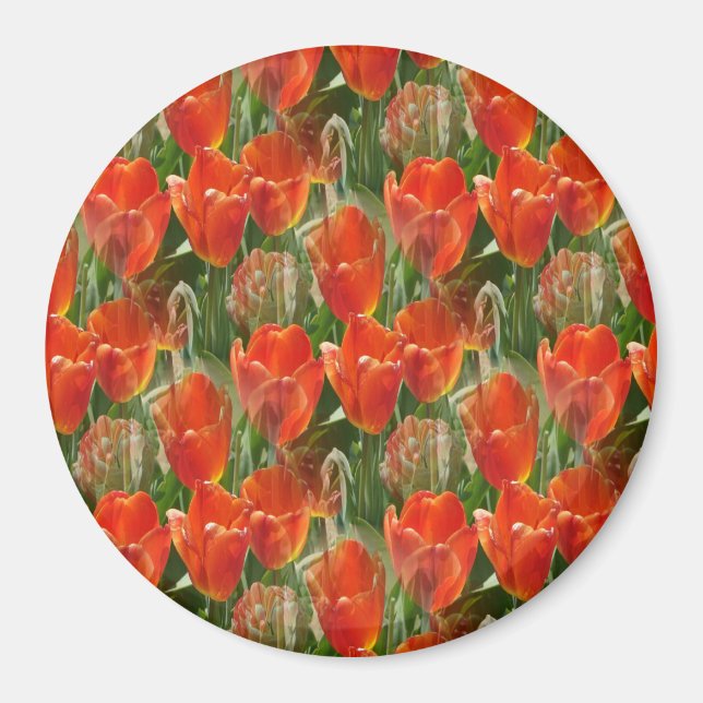 Field of Tulips..... Magnet (Front)