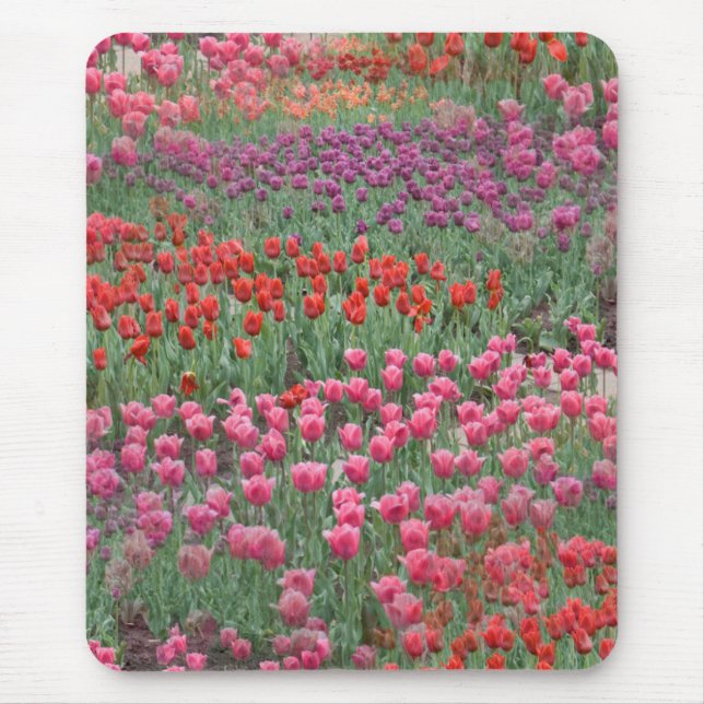 Field Of Tulips Mouse Pad (Front)
