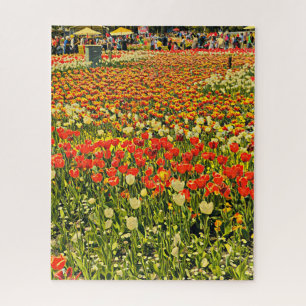 Field of tulips puzzle