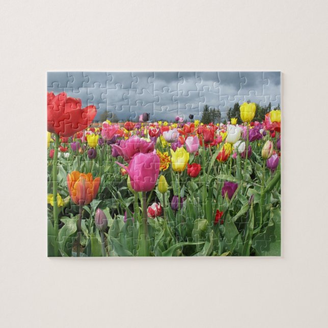 Field of Tulips Puzzle (Horizontal)
