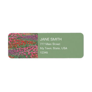 Field Of Tulips Return Address Label