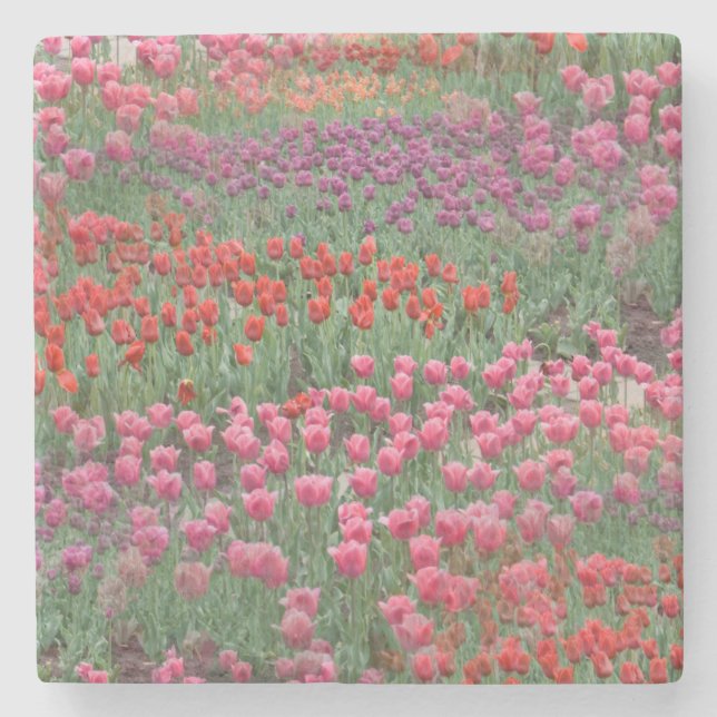 Field Of Tulips Stone Coaster (Front)