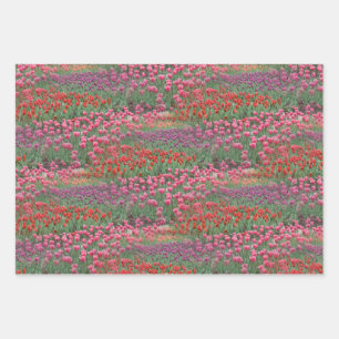 Field Of Tulips Wrapping Paper Sheet