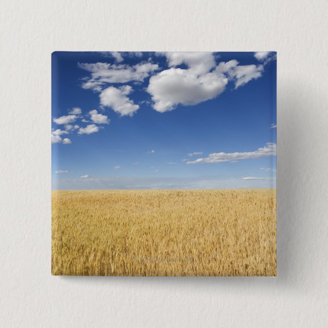 Field of wheat 15 cm square badge (Front)