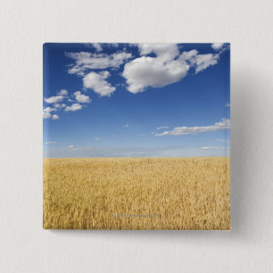 Field of wheat 15 cm square badge