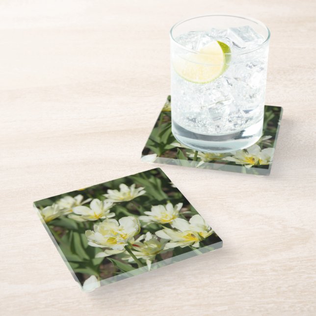 Field of white tulips Photo Glass Coaster (Angled)