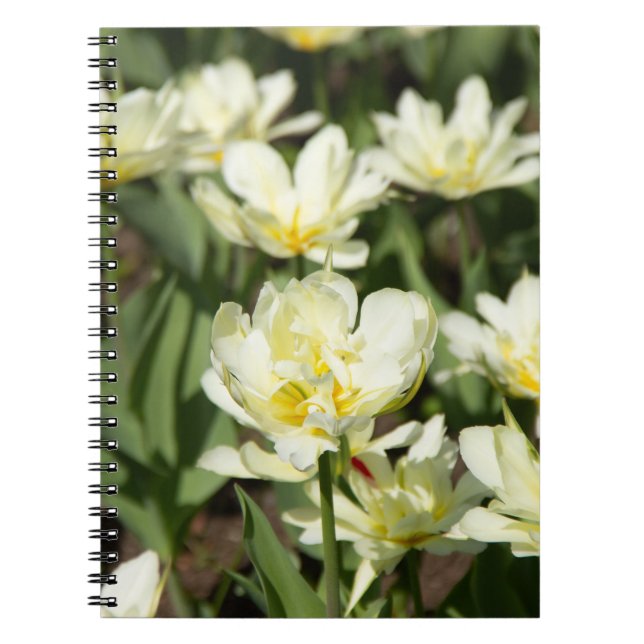 Field of white tulips Photo Notebook (Front)