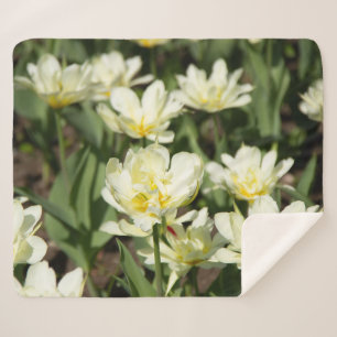 Field of white tulips Photo Sherpa Blanket