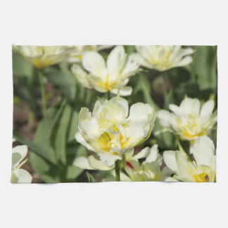Field of white tulips Photo Tea Towel