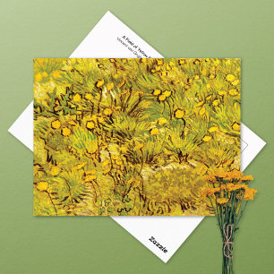 Field of Yellow Flowers Vincent van Gogh Postcard