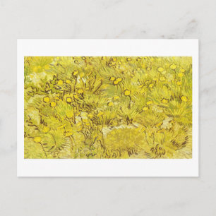 Field of Yellow Flowers, Vincent van Gogh Postcard