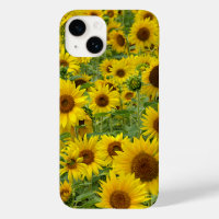 Field of Yellow Sunflowers