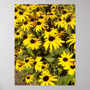 Field of Yellow Wildflowers Poster