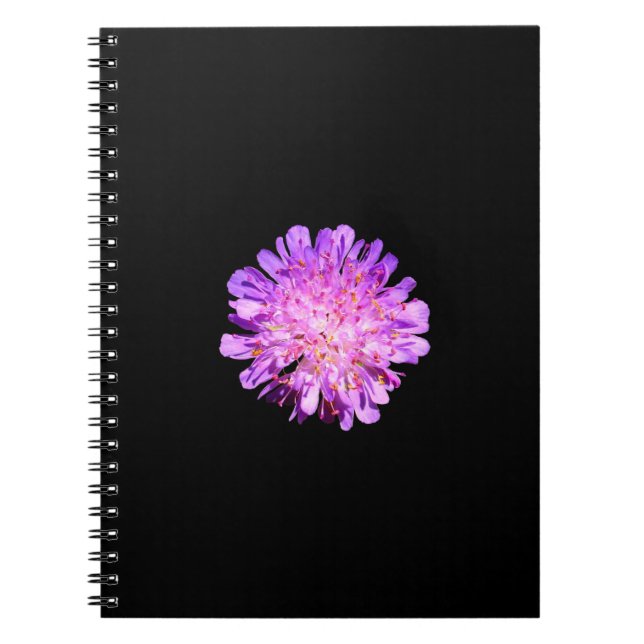 Field Scabious Spiral Notebook (Front)