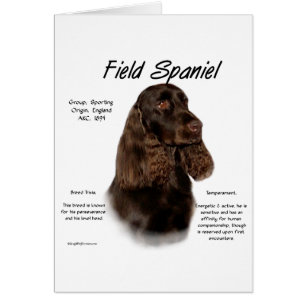 Field Spaniel History Design