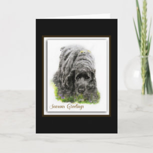 Field Spaniel Holiday Card
