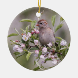 Field Sparrow Ceramic Ornament