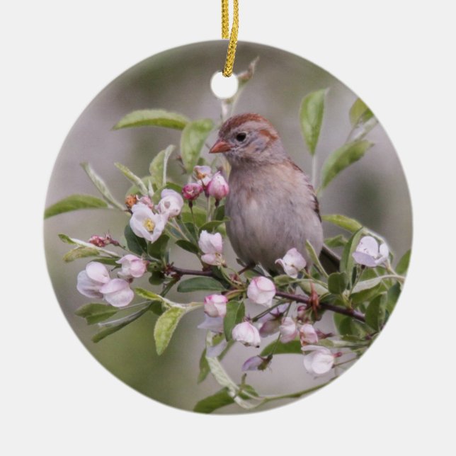 Field Sparrow Ceramic Ornament (Front)
