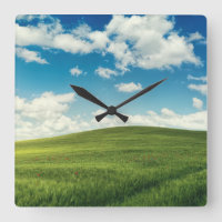Field