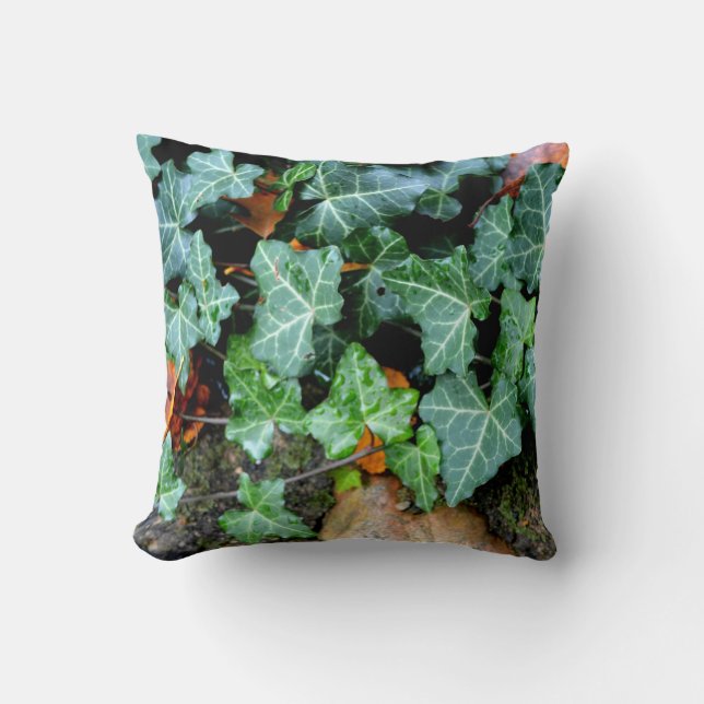 Field Stones, ivy, garden wall, botanical decor  Cushion (Front)